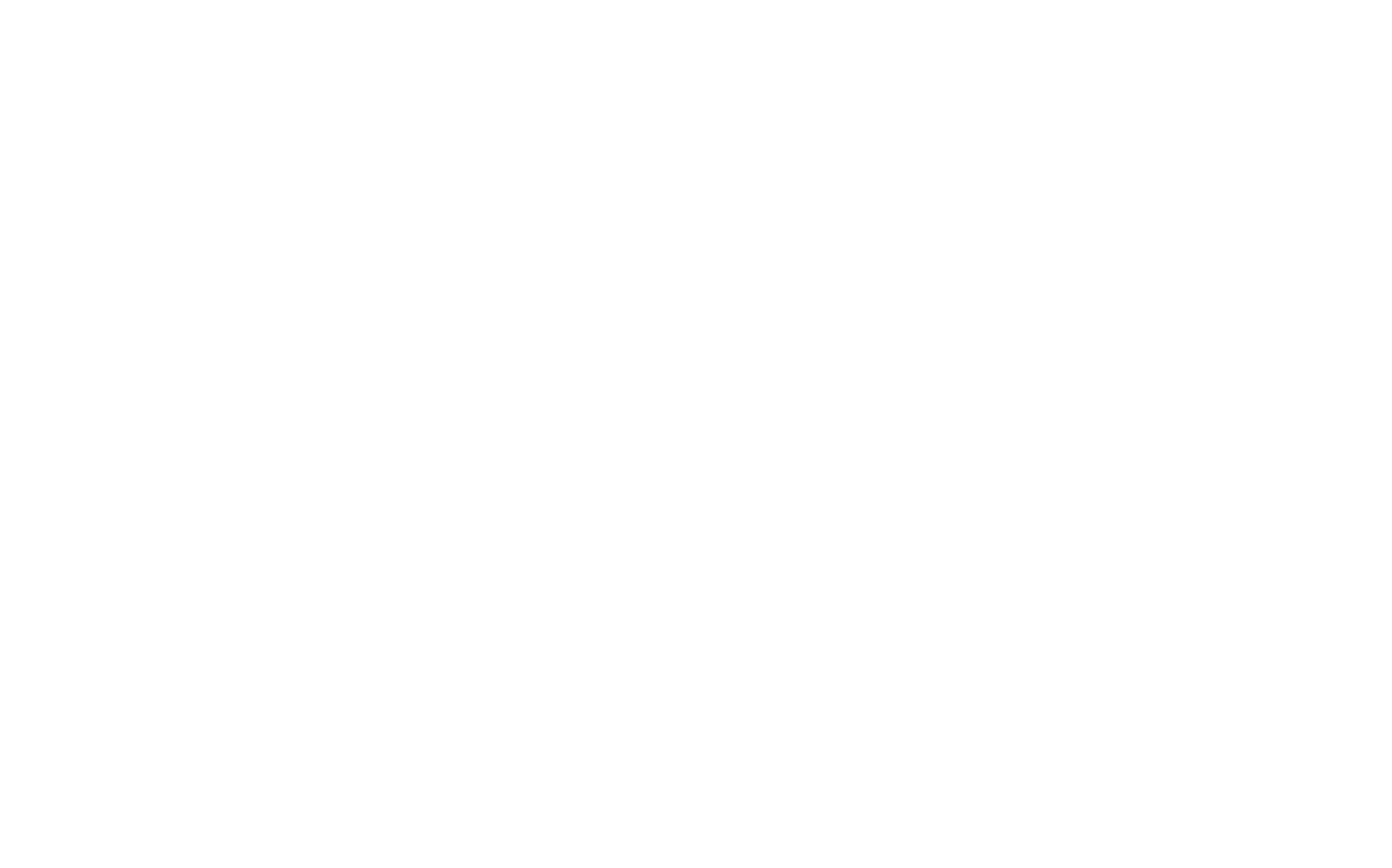 CRONIT Logo